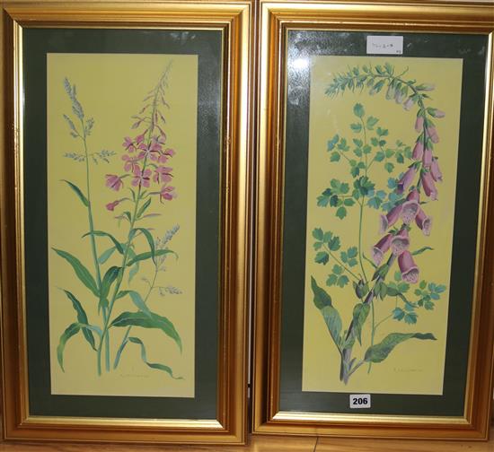 F.J. Egginton Studies of field flowers 50 x 21cms